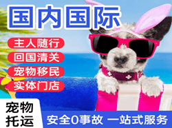 青山航空运输国际宠物托运 【国